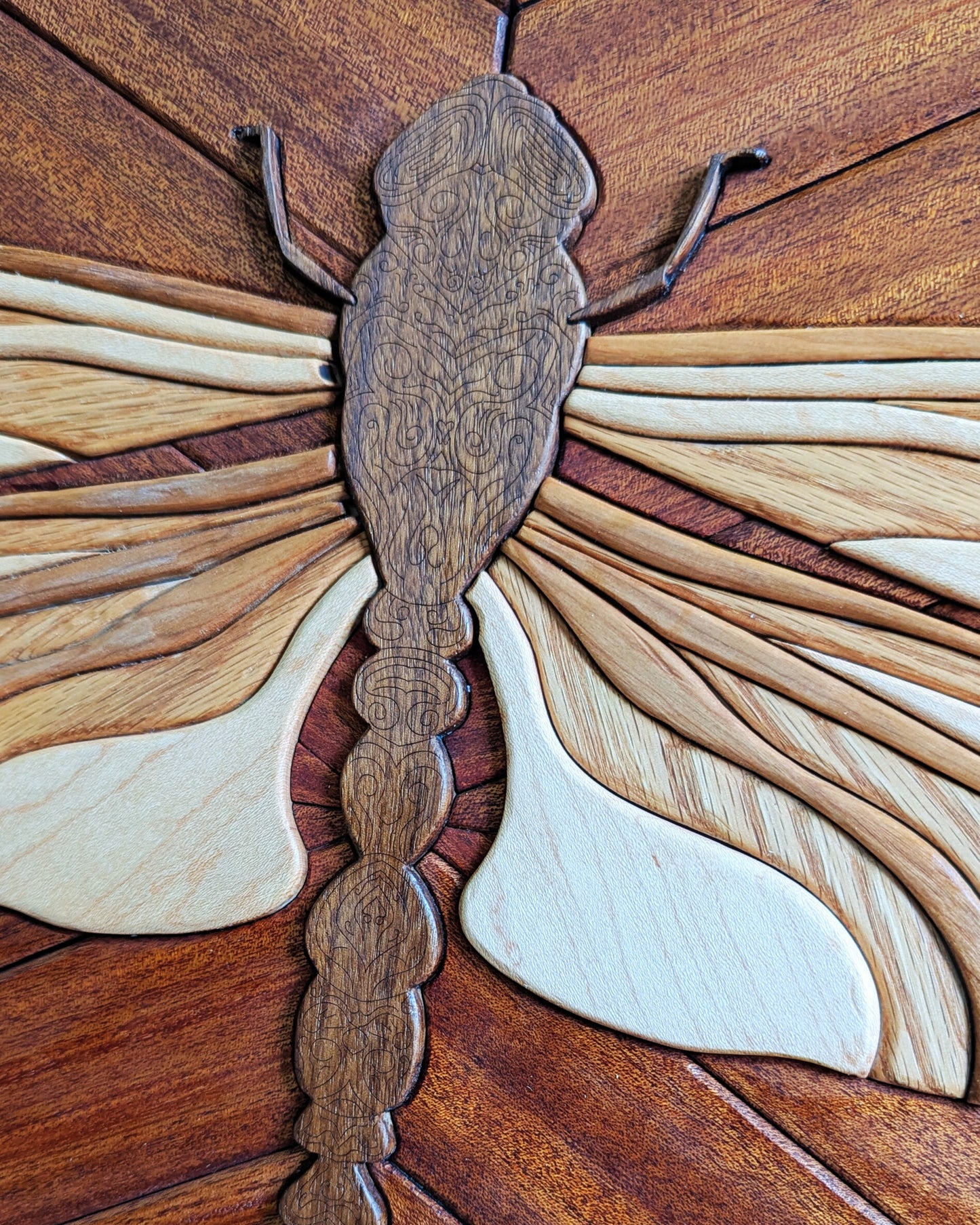 Detailed view of the dragonfly’s body, showcasing multi-wood textures and handcrafted inlay work.