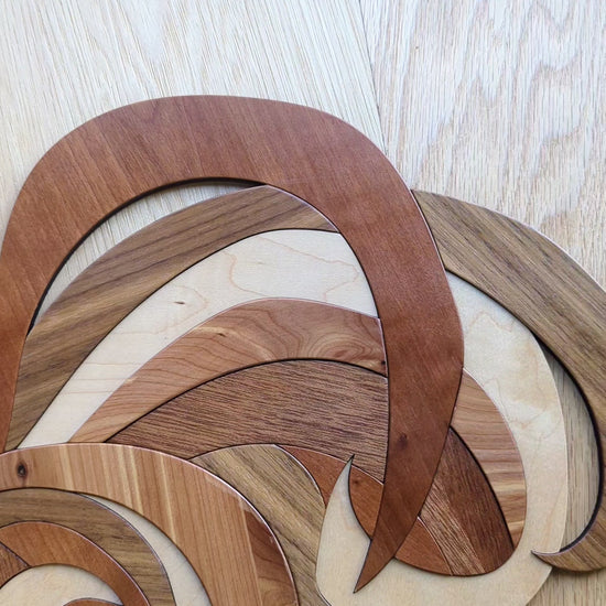 Video capturing close-up of rooster tail feathers with light movement, revealing dimensional layering and sheen of the wood.